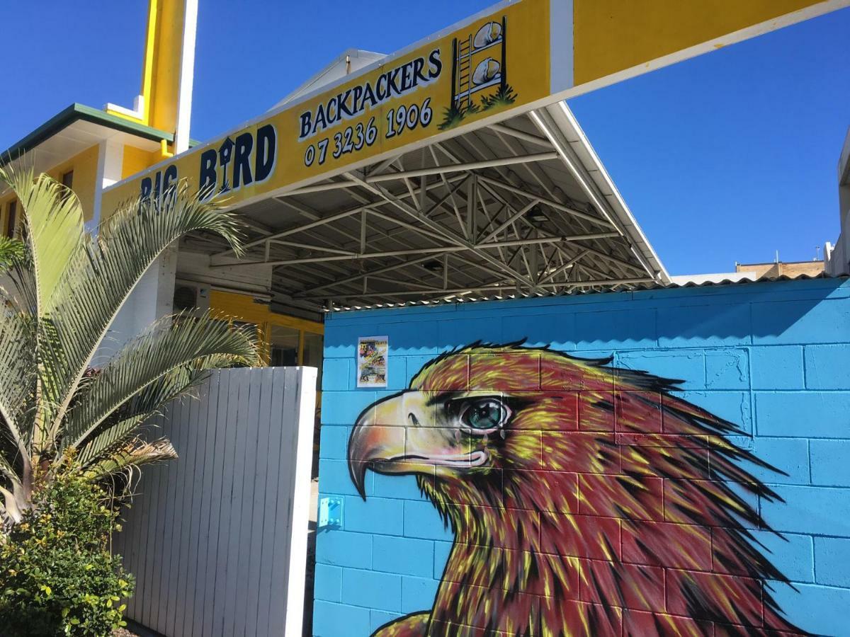 Big Bird Backpackers Hostel Brisbane Buitenkant foto